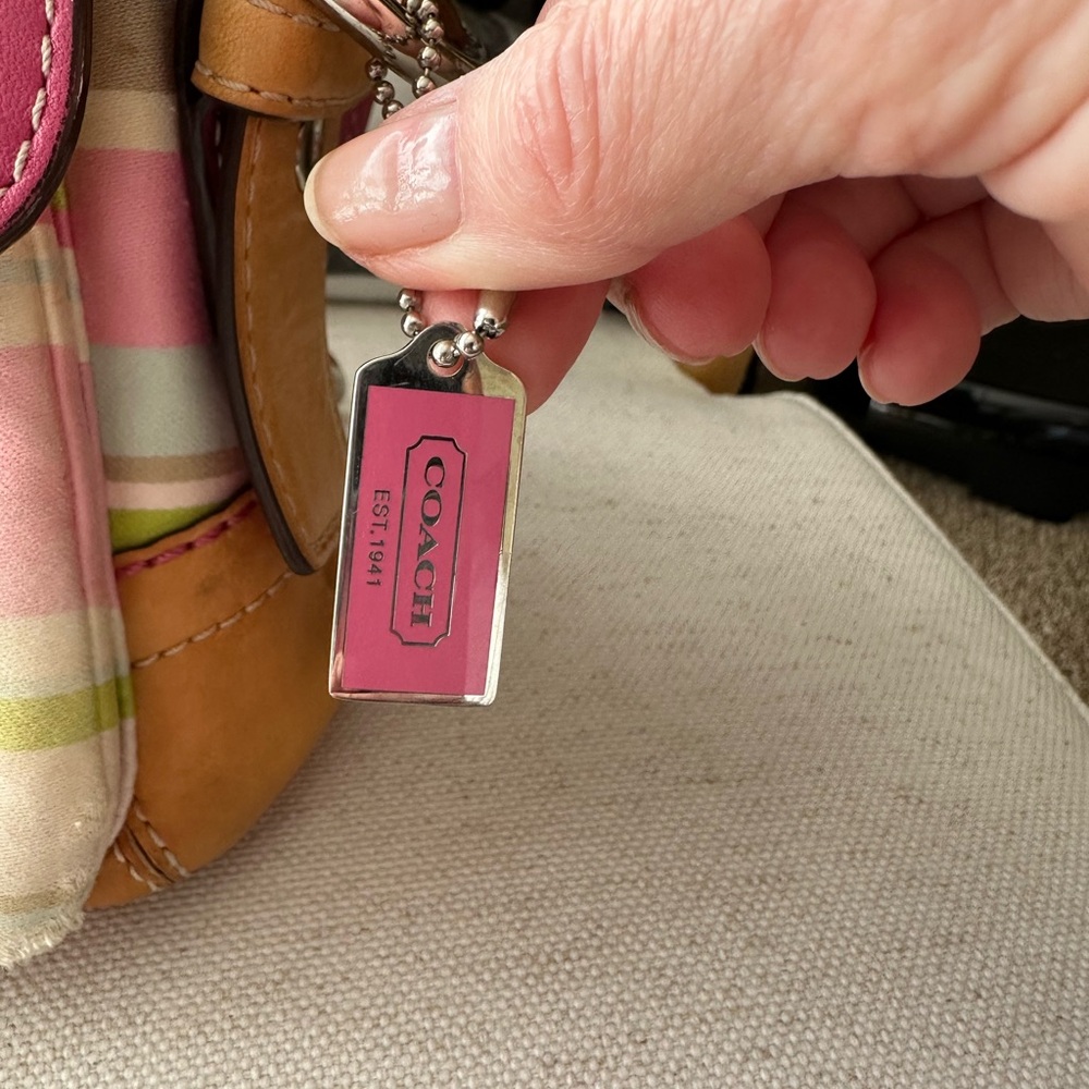 Coach Multicolor Striped Handbag